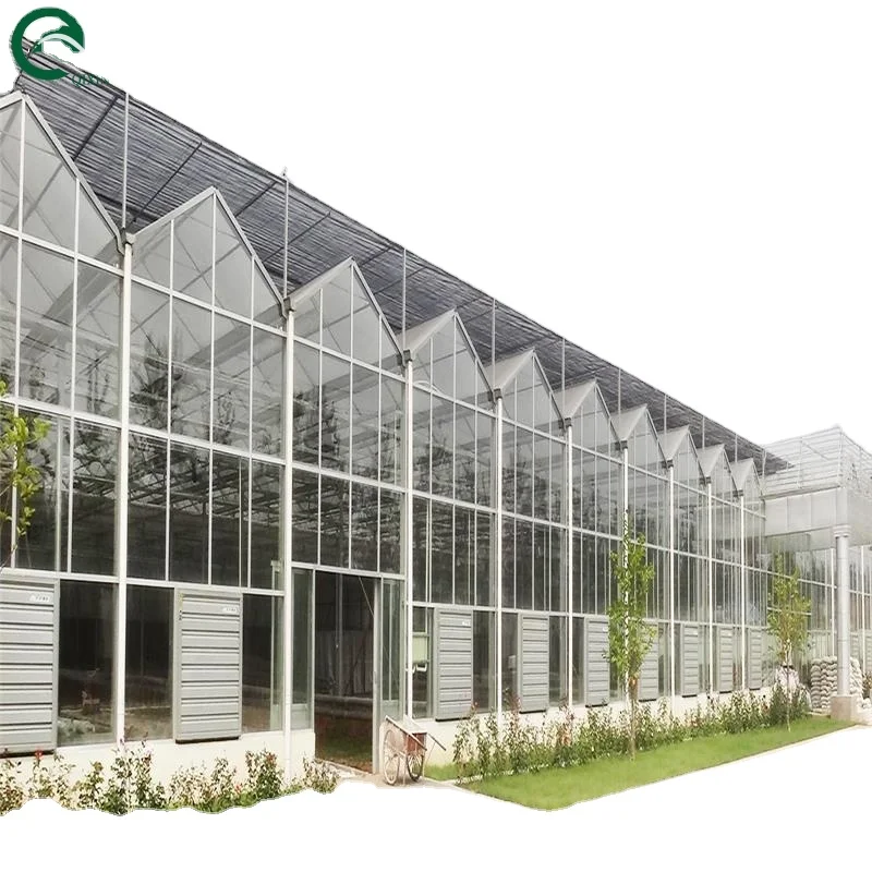 Good pervious to light  Greenhouse for agricultural  greenhouses Hot dip galvanized skeleton