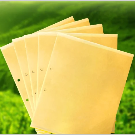 Flying Insect Killers Yellow Sticky Fruit Fly Sticky Traps Killing Aphids Plate Stick Insect Whitefly