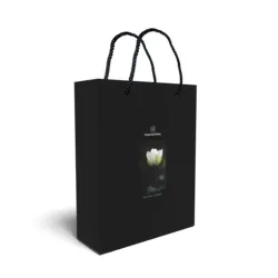 Wholesale Carton Kraft Foldable Amazon Top Seller Cheap Price Bag Retail Shopping Bags