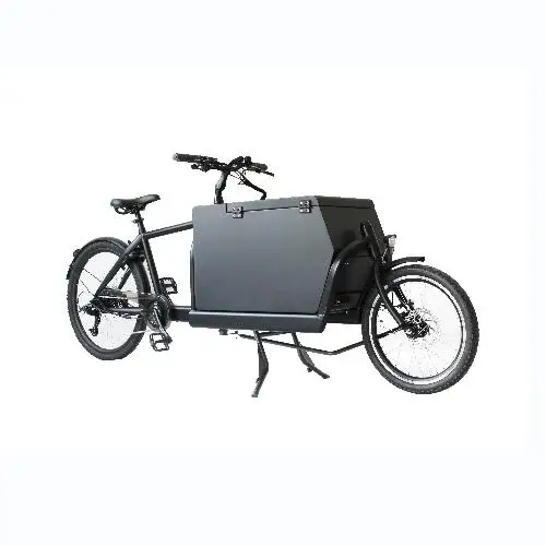 7 speeds electric cargo bike  2 wheels cargo bike family cargo bike