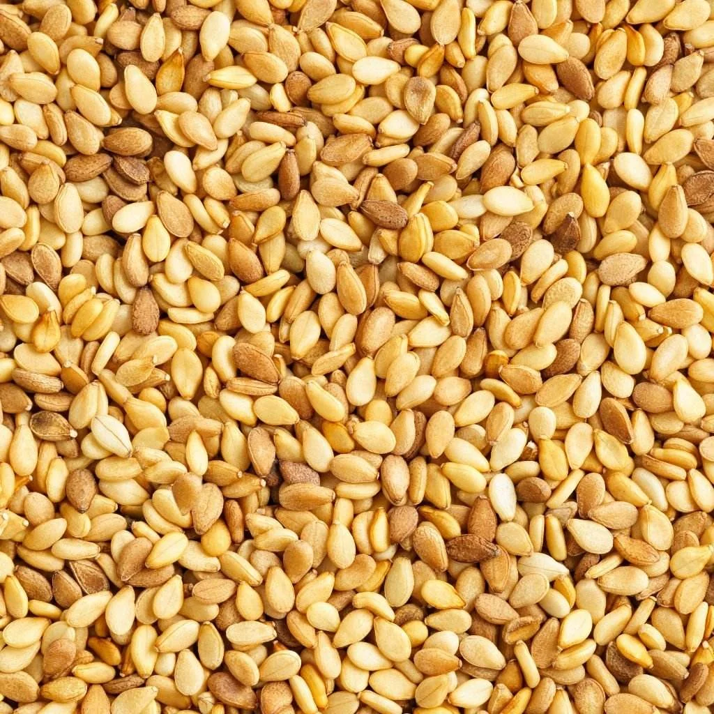 L-S019 высокое качество семена белого кунжута выращенные в США натуральный сельскохозяйственный продукт Лучшая цена с пакетом поддержки