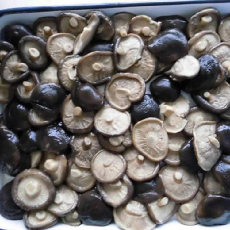 
hot sale canned slice shiitake mushroom in can 