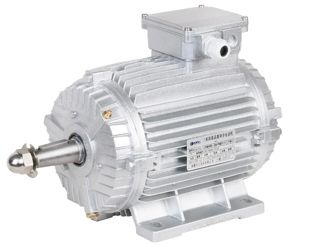 Three phase asynchronous axial electric motor