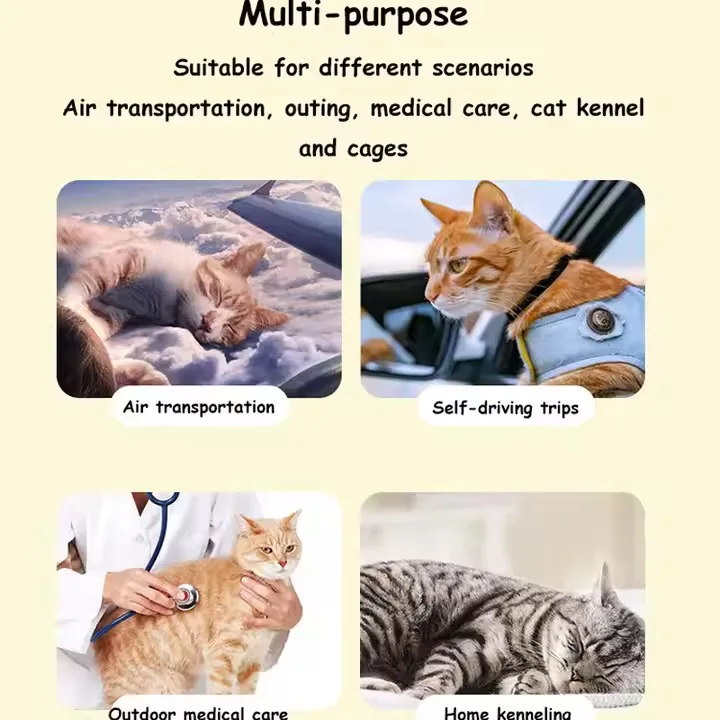 Small Plastic Pet Air Box Foldable 4 Wheels Iron Wire Rolling Door Breathable Backpack Cat Small Animals Dog Carriers Pet Travel