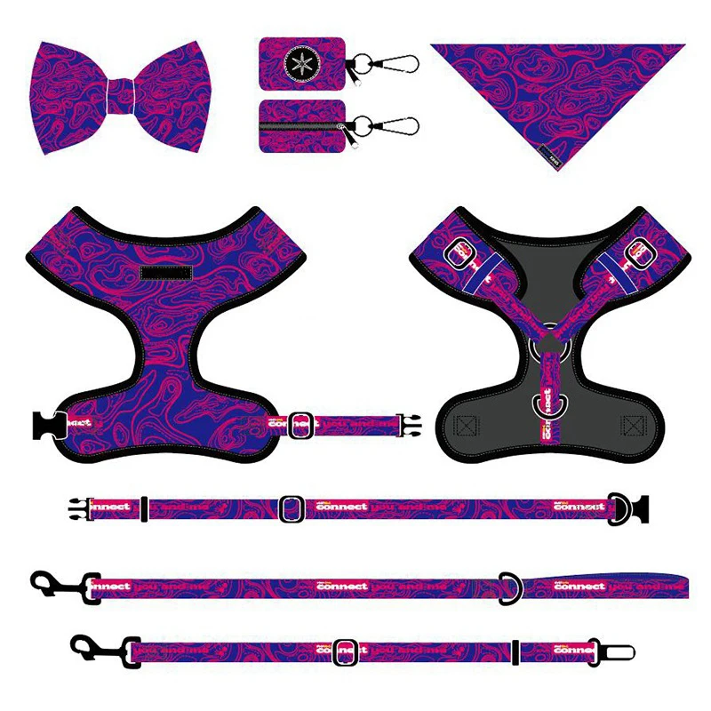 Custom Obroza psa hundehalsband luxus luxury pet supplies pet carriers nylon Dog collar and leash set Harness set