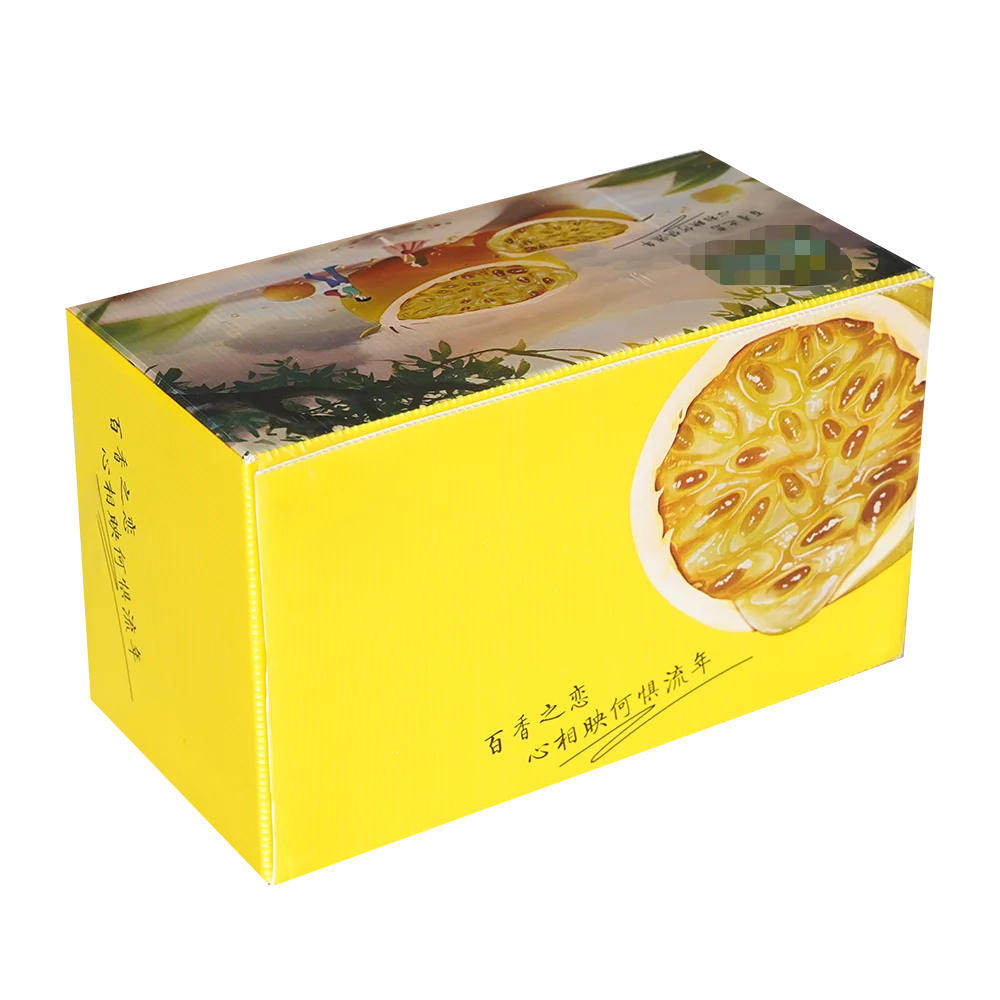 Various types of low price corrugated plastic sheet pp honeycomb board honeycomb collapsible box