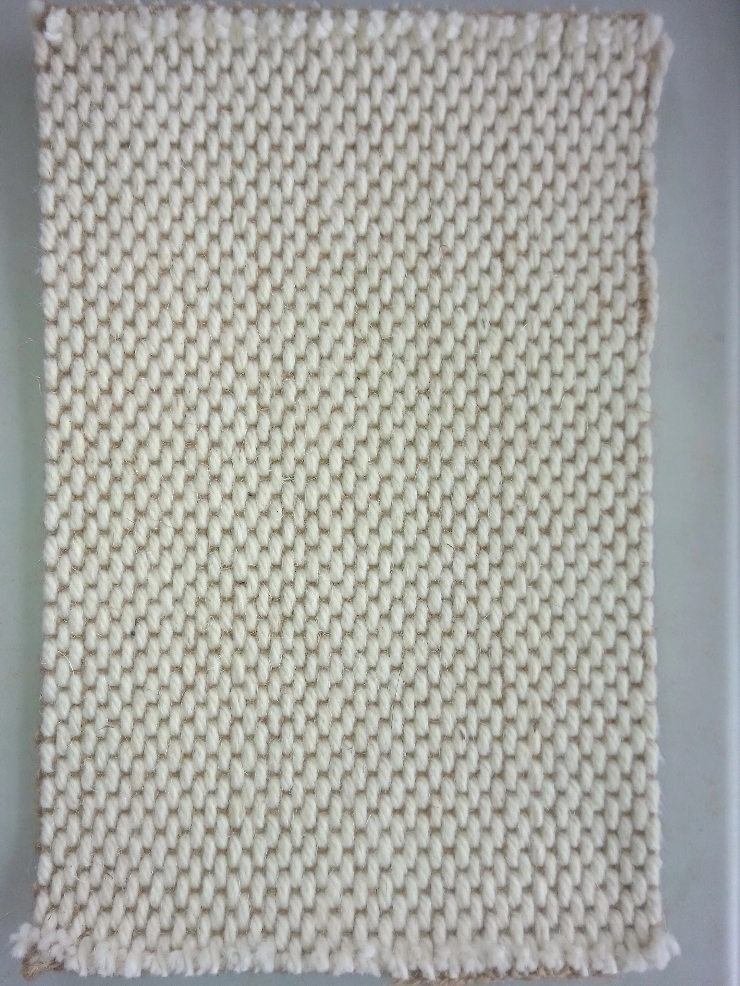 1900g/sqm wool with sisal floor carpet and rug for living room