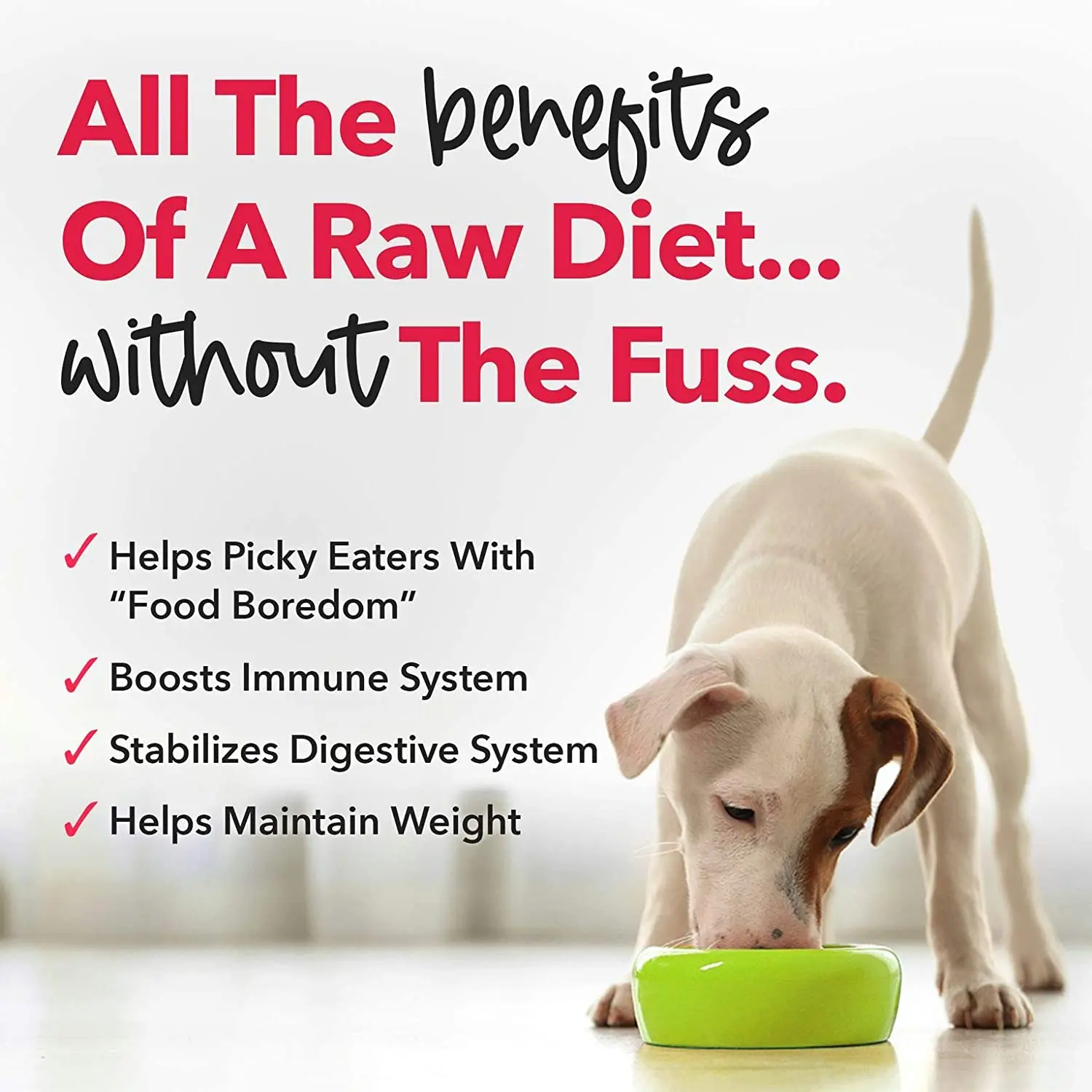 Dog Cat Treats Teddy Golden Retriever handmade dried chewing Teeth Grinding Cleaning food Dried Pet flavors food topper powder