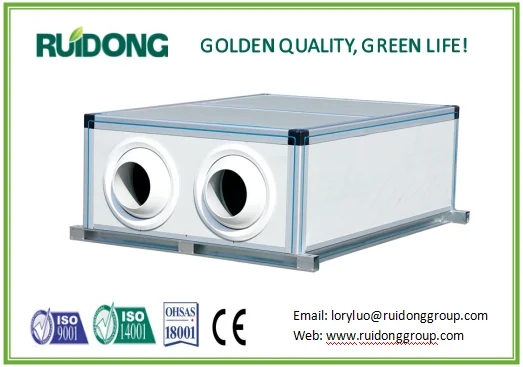 Ruidong Ceiling Type  Industrial air conditioner air handling unit AHU Chiller HVAC system