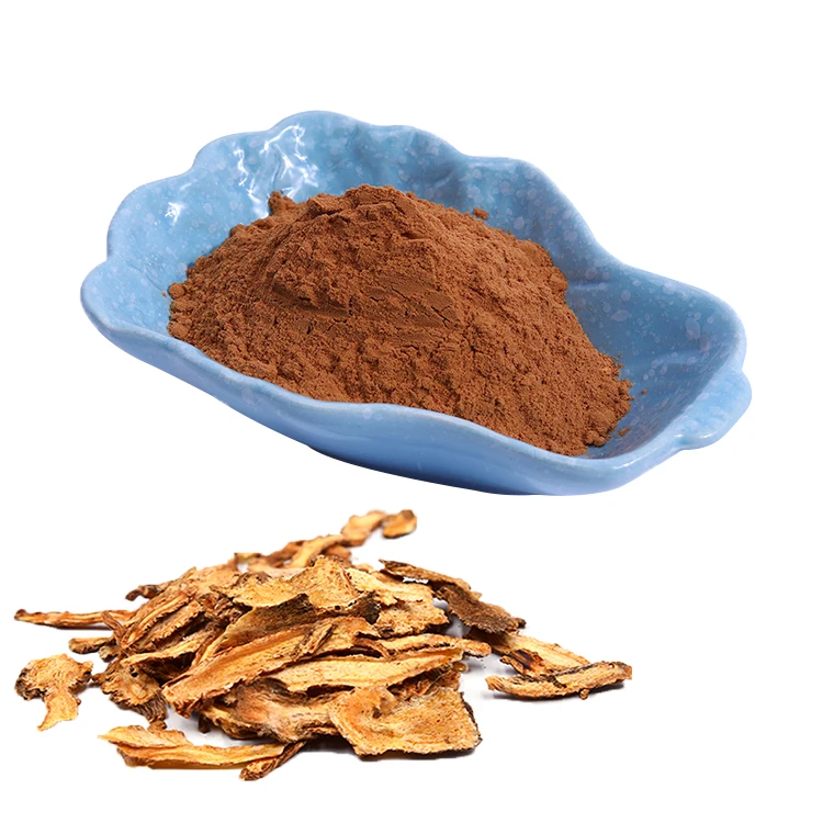 Factory Supply Dong Quai Extract High Quality Chinese Herb Angelica Root With Low Price angelica sinensis Powder Manufacturer