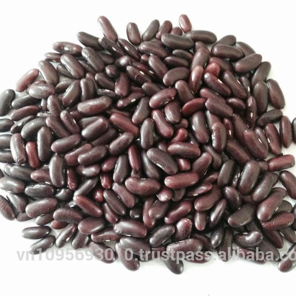 
HOT SELLING RED KIDNEY BEANS FROM VIETNAM 