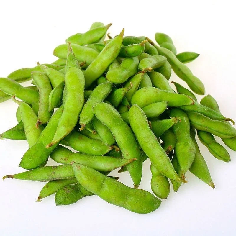 
Non-GMO Organic Hybrid F1 Green Soybean Edamame Bean Seed for Sale 