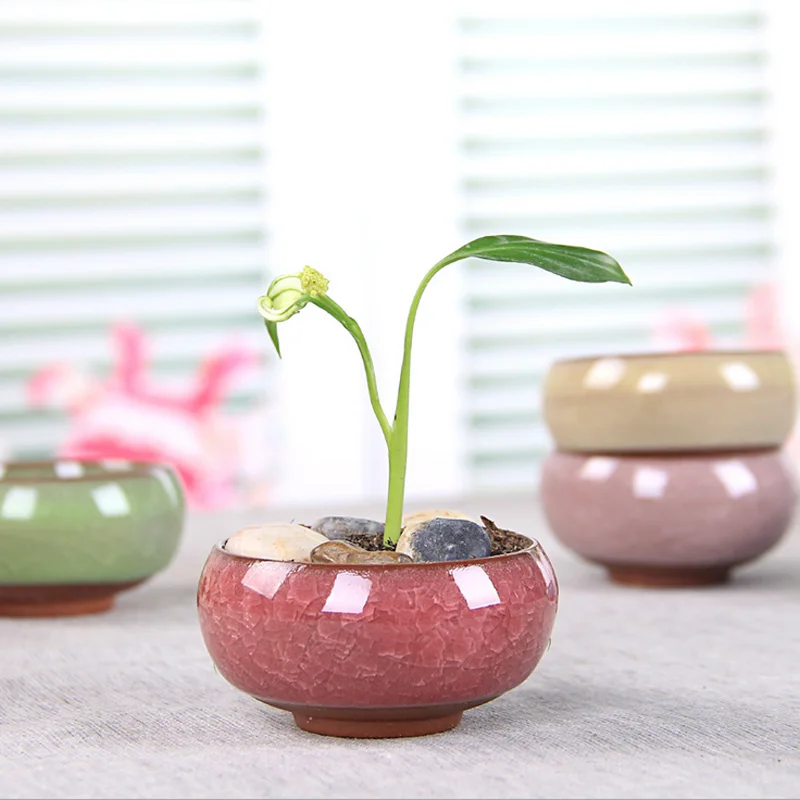 Succulent Plants Pots Mini Ice Crack Glaze Ceramics FlowerPot Garden Home Zakka Decor Craft Flower Pot