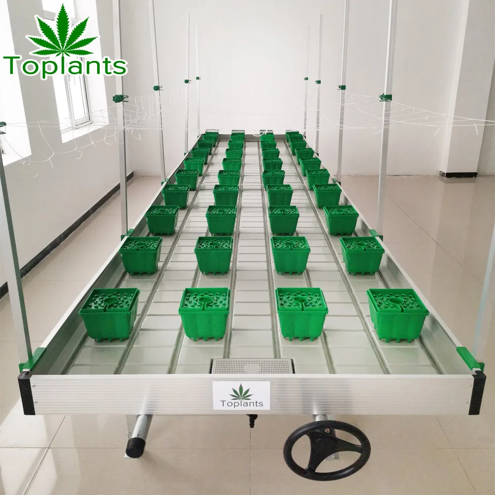 greenhouse hydroponic Plant nursery flood tray hydroponic grow agricultural growing equipment