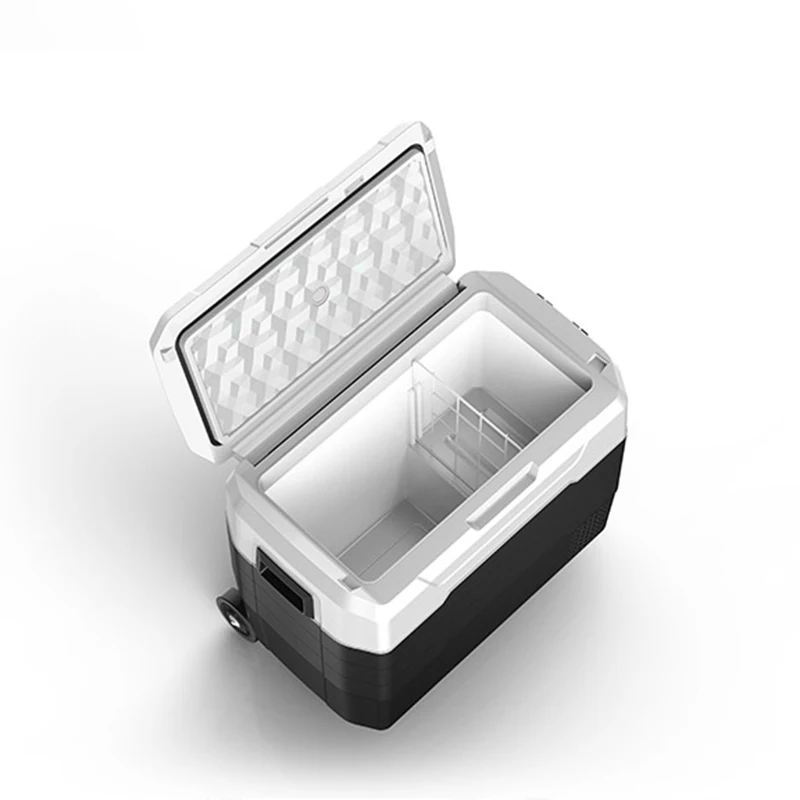 WAYCOOL ALG50 50L AC100~240V ODM OEM High Quality Car Fridge with Inbuilt Battery & CE CB SAA Certificates for Home Cars