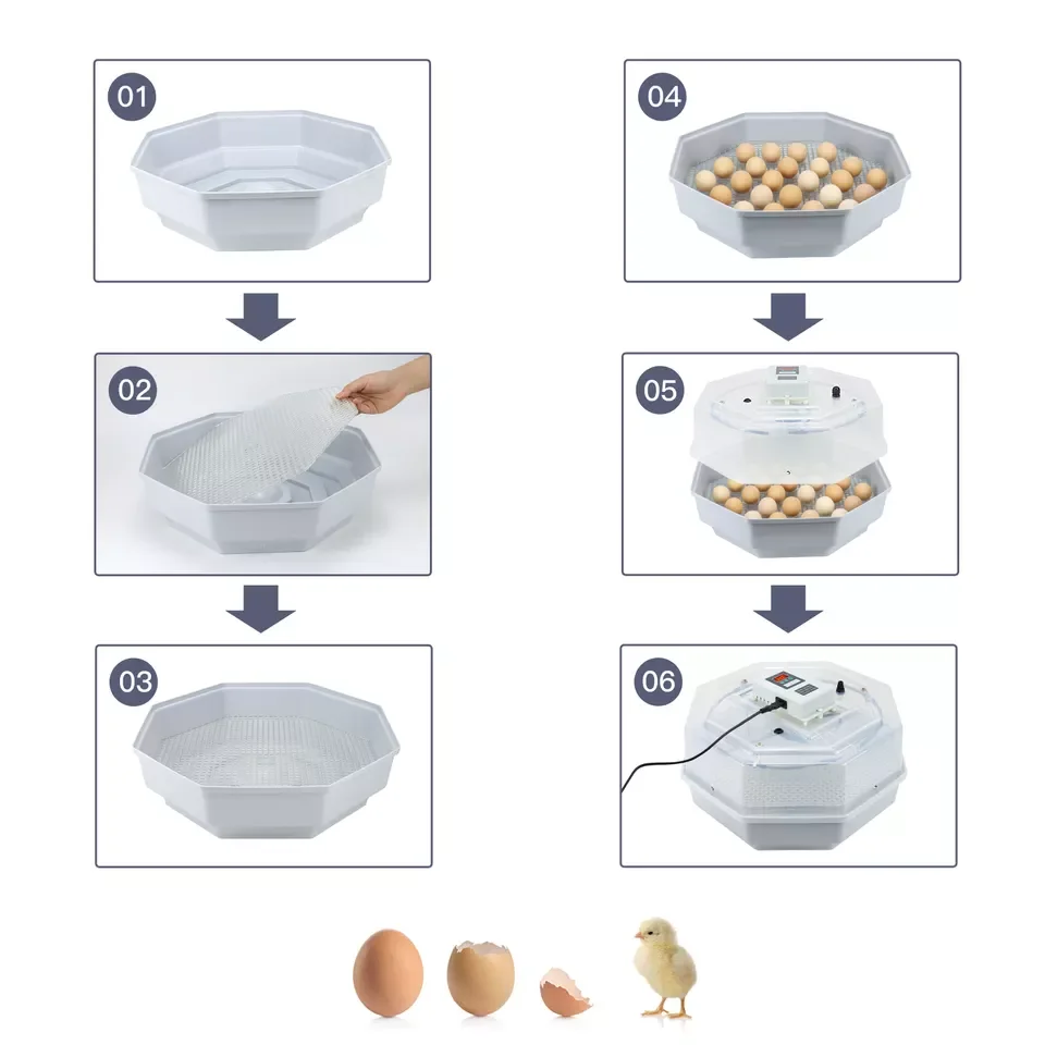 JN2-60 Egg Incubators, Hatching Eggs, Chicken Incubator