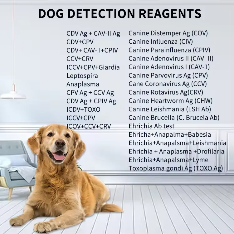 Dog CDV CPV Rapid Test Kit Pet Parvovirus Test Kit Giardia Ag Rapid Test