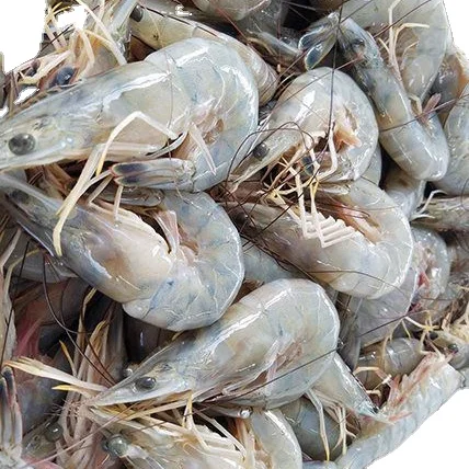 Competitive price in bulk quantities - 100% Vietnam shrimp frozen and fresh tiger