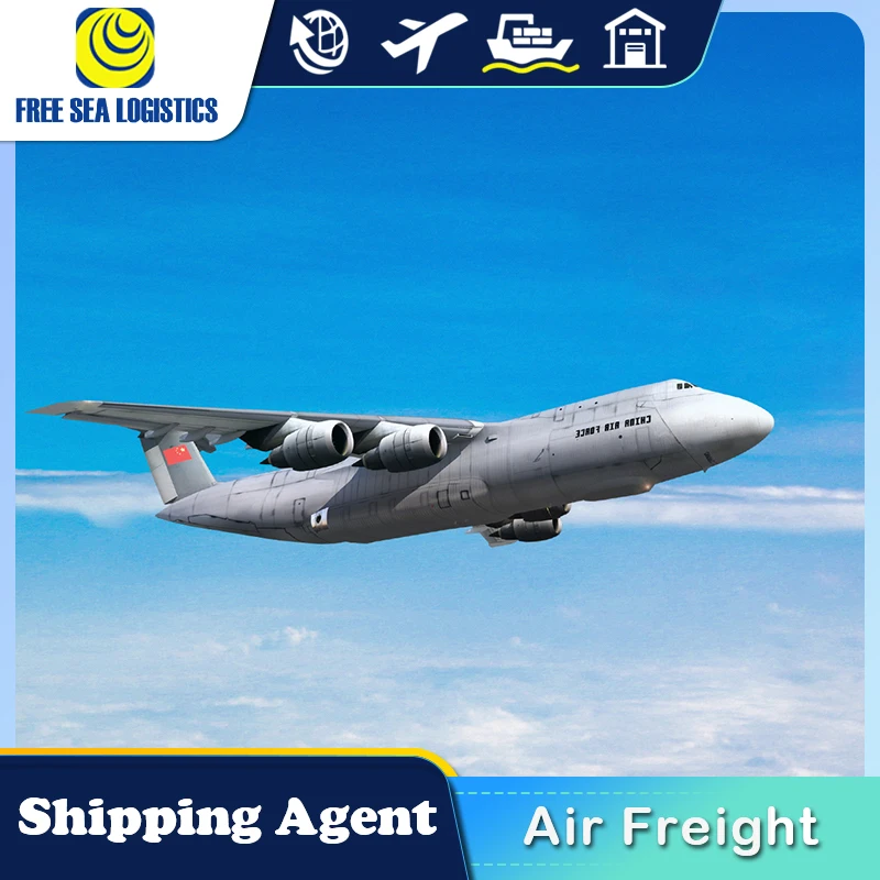Shipping Agent Sea Freight Forwarder  From China To Saudi Arabia Egypt Turkey