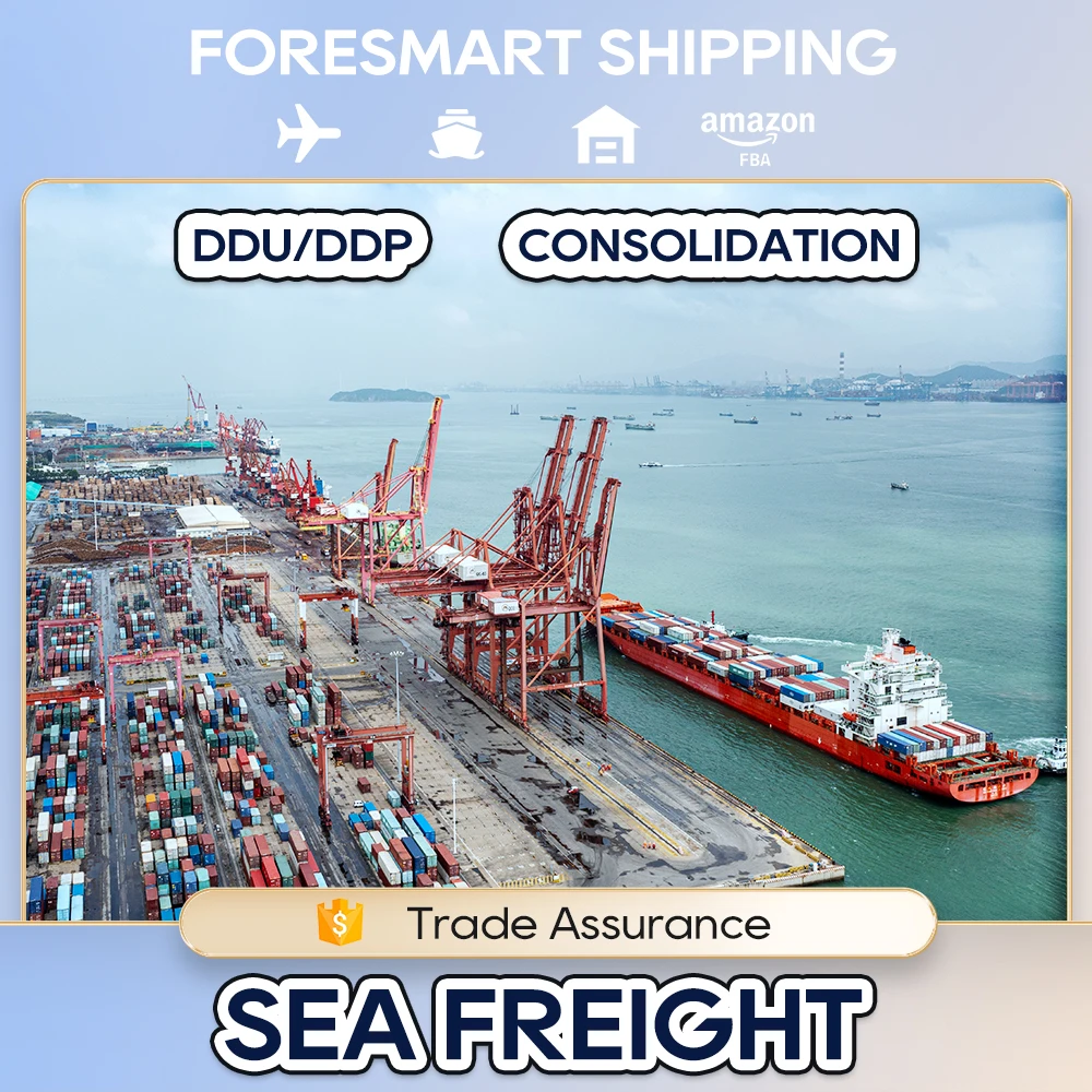 Professional Sea Freight Ningbo To Cebu Thailand