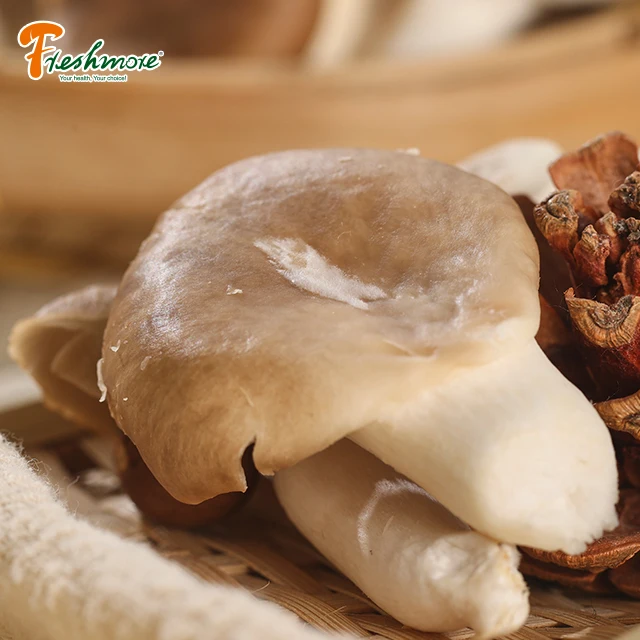 buy fresh brown oyster mushrooms for sale with great price
