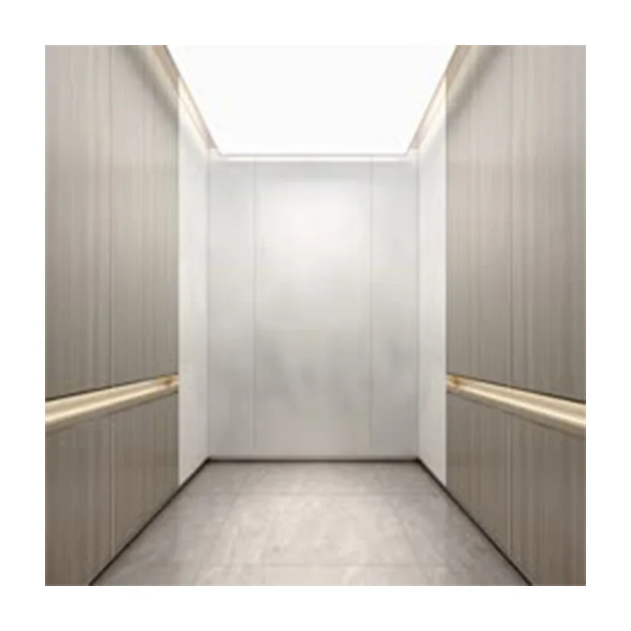 ZLE Best Selling Passenger Elevator Small Machine Room Roomless Residential Lift