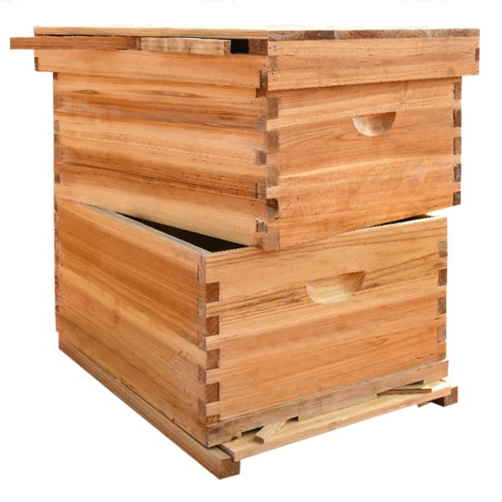 New style Langstroth bee hive fir wooden beehive/bee hive hot sale