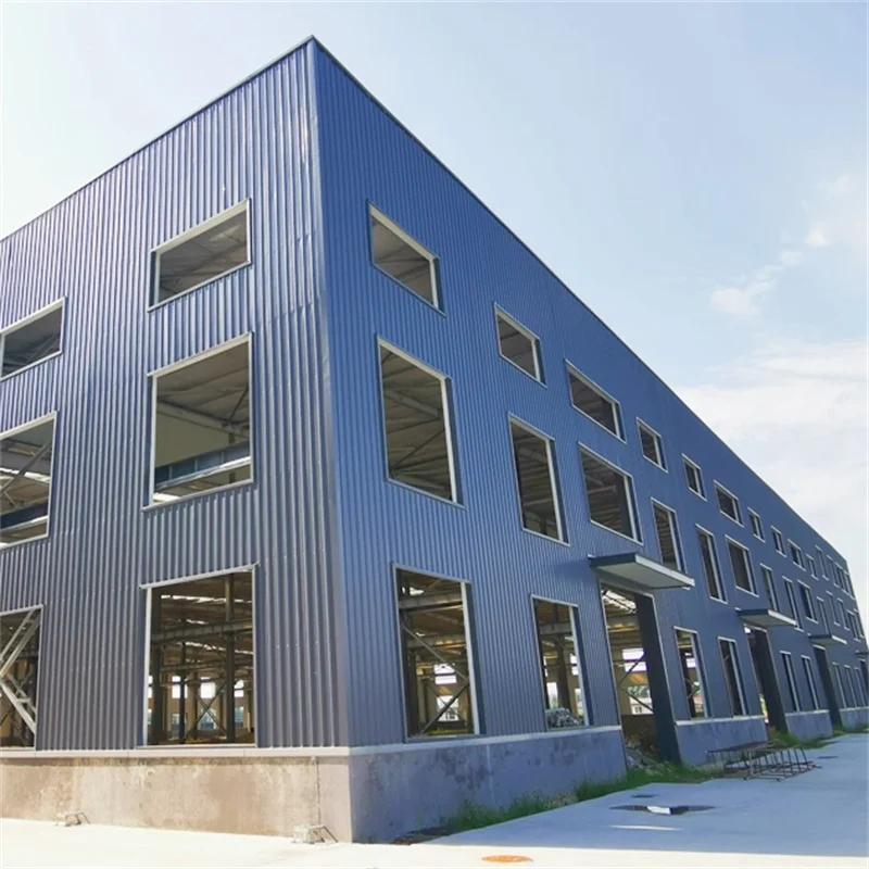 Steel Building Q345b Metal Frame Fabrication Building Platform Commercial Buildings Aircraft Hangar