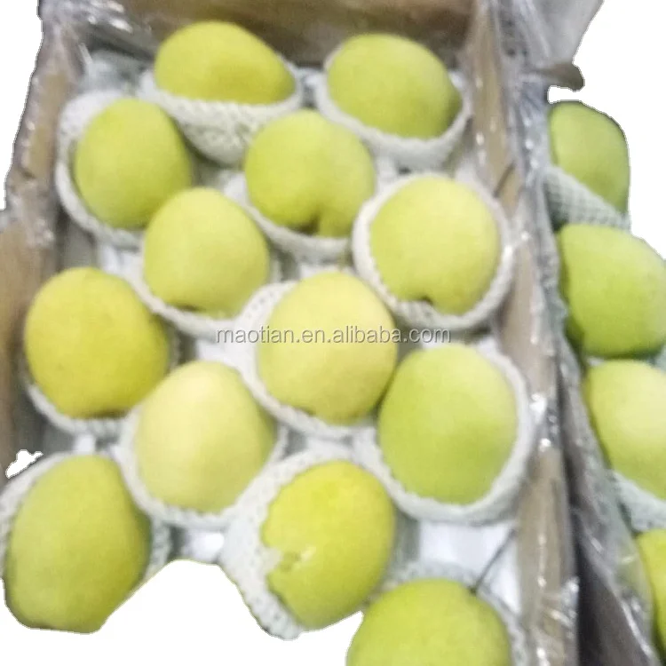 Груши Шаньдун