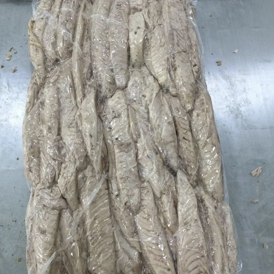 Frozen Bonito Tuna Loin Cooked Fish Fillet in Nature Style Box Bag Vacuum Pack Packaging