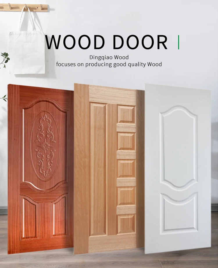 DOOR SKIN (2).jpg