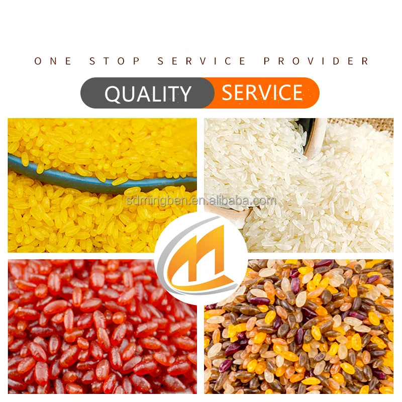 Lab scale double screw extruder man-made rice texting double screw press machine for laboratory and university