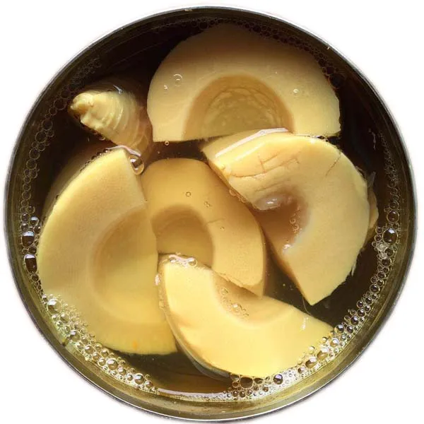 New Season Canned Food Canned Vegetable Canned Bamboo Shoot Whole/Halves/Slices/Strips in Tin