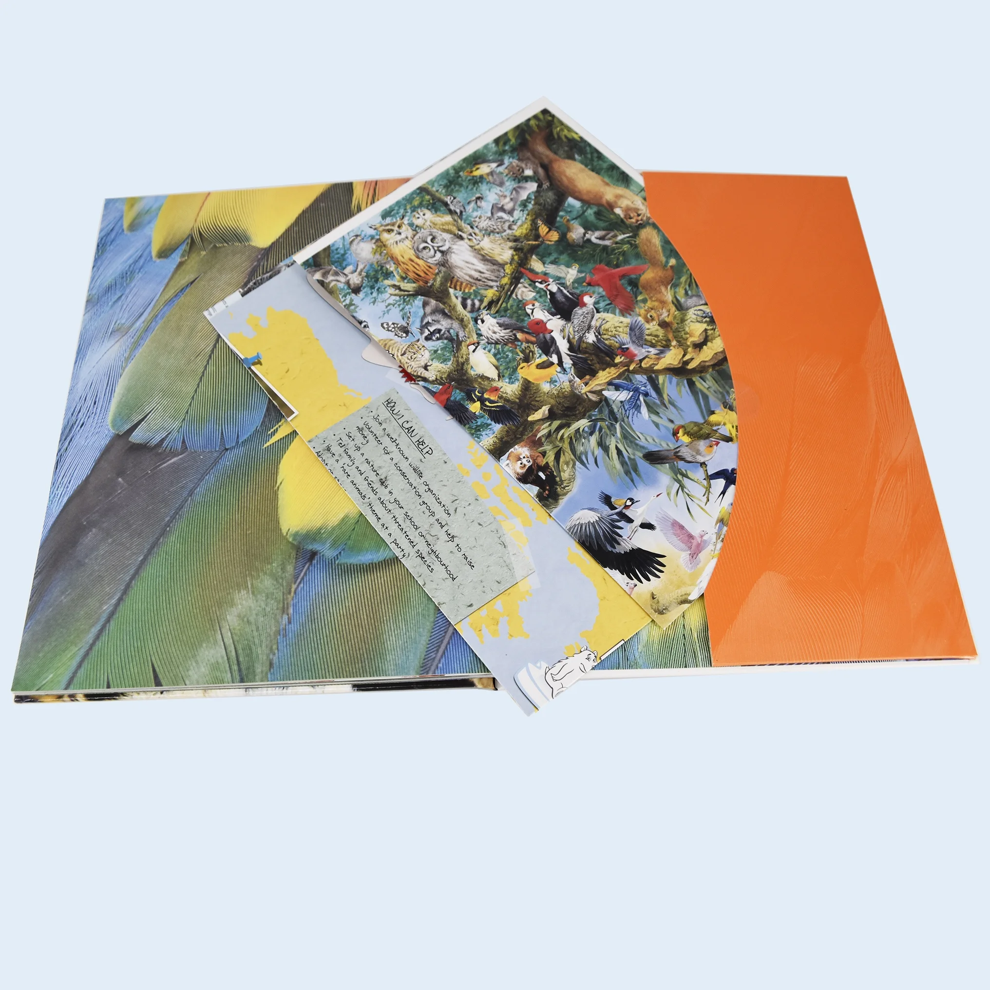 2022 Flyer Holder- book holder printing service-  woodfree/ kraft paper custom design in factory price