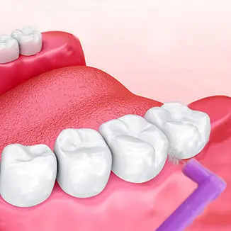 Disposable Interdental Toothpicks Brushes Friendly Brushes Interdental Toothbrushes Cleaning Dental Brush