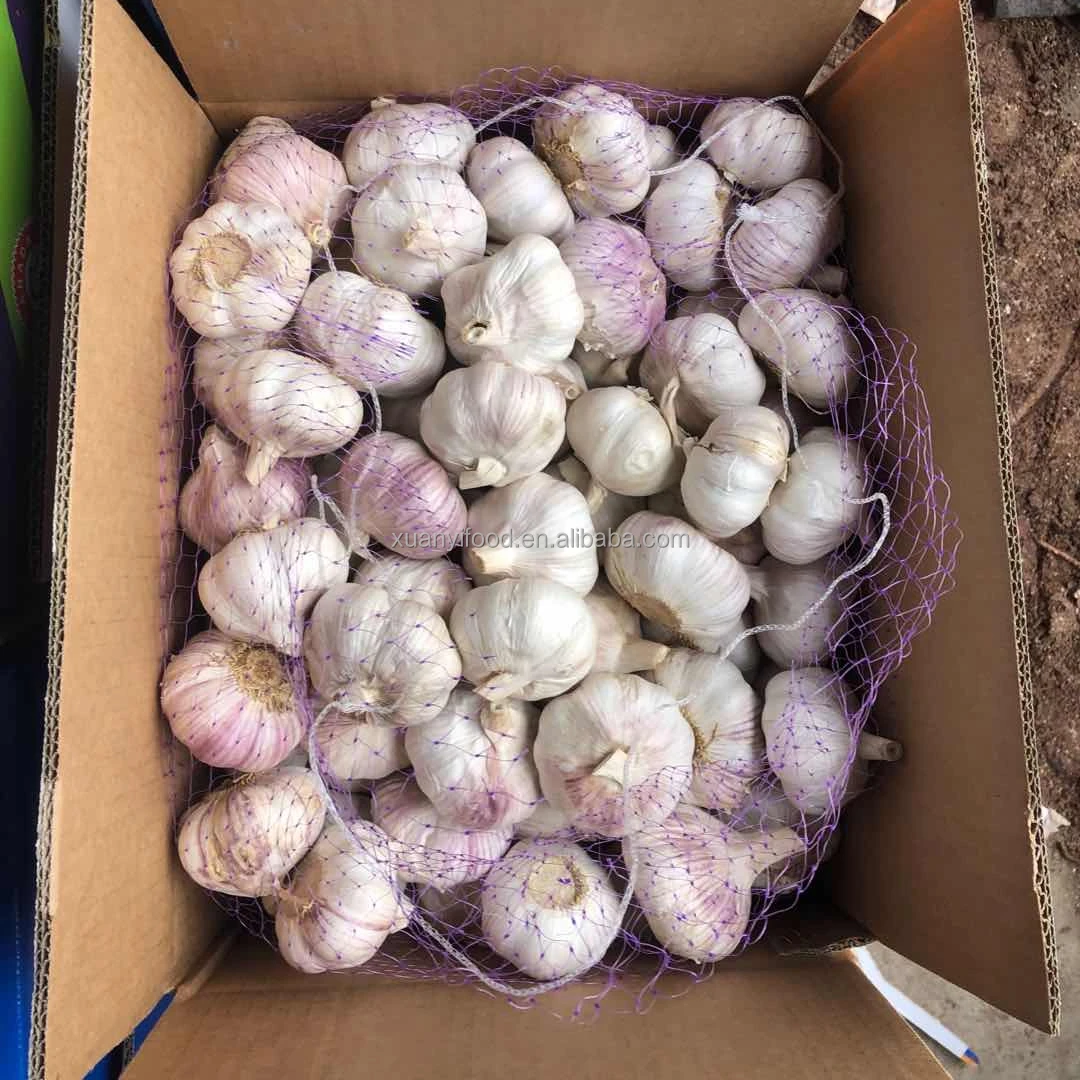 Wholesale Fresh Garlic Low Price Are Fruits and Vegetables Can Be Used As Seeds