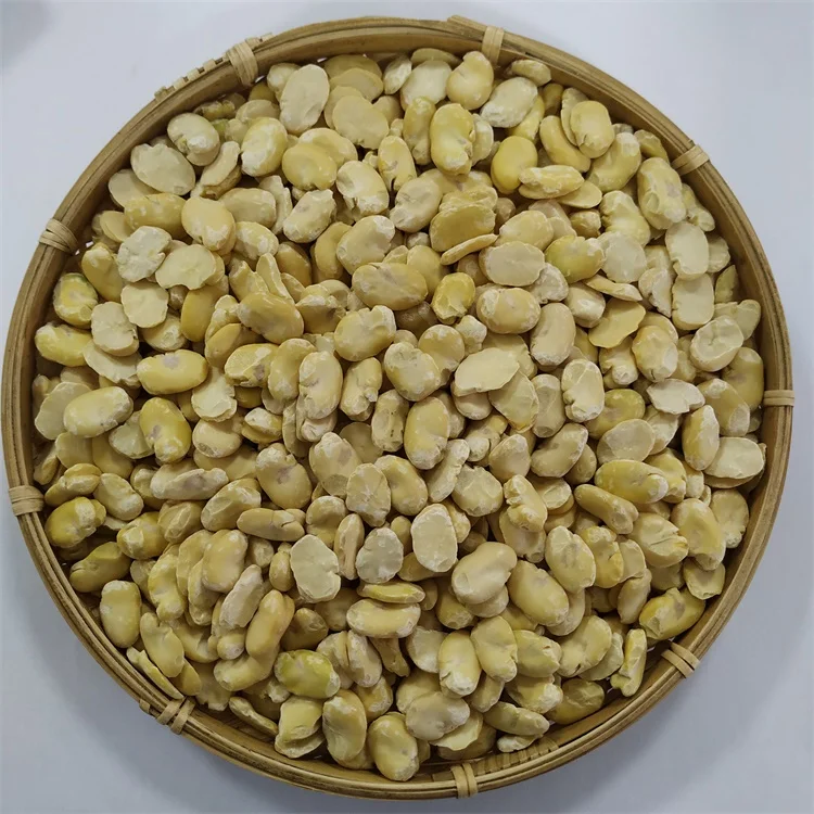 
High Quality Peeled Split Broad Beans Fava Beans Peeled By Machine 