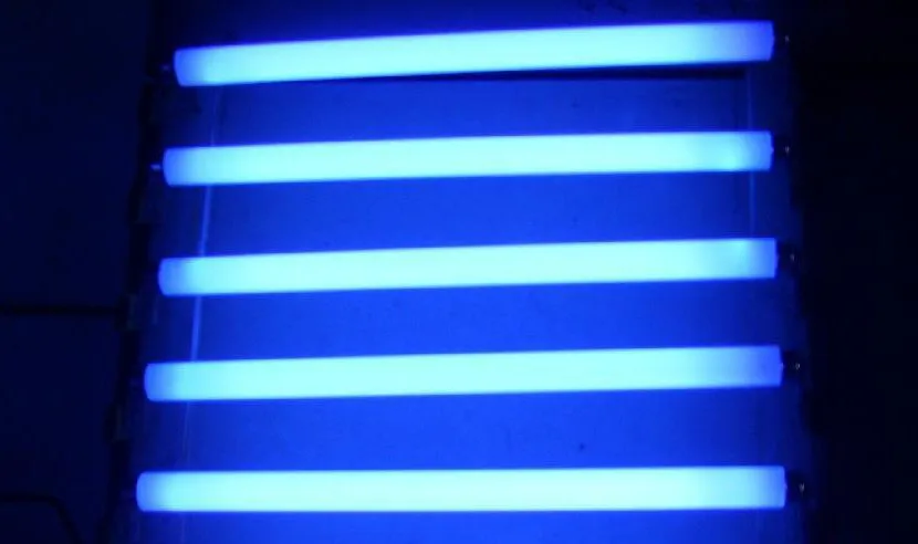 Good quality T5 & T8 UV Black lighting blue lamp T5 4W UVA BLB black lamp by CE and RoHS