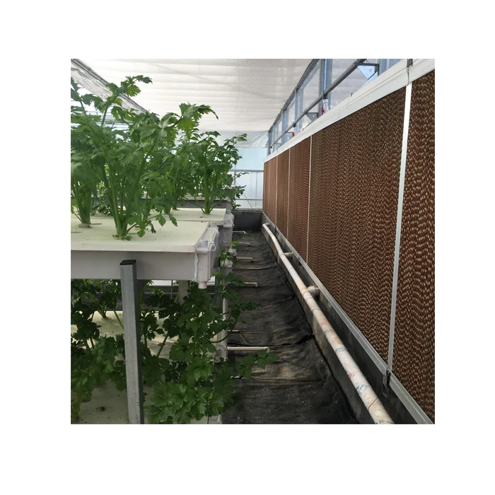 Greenhouse Evaporative Cooling Pad for cooling system