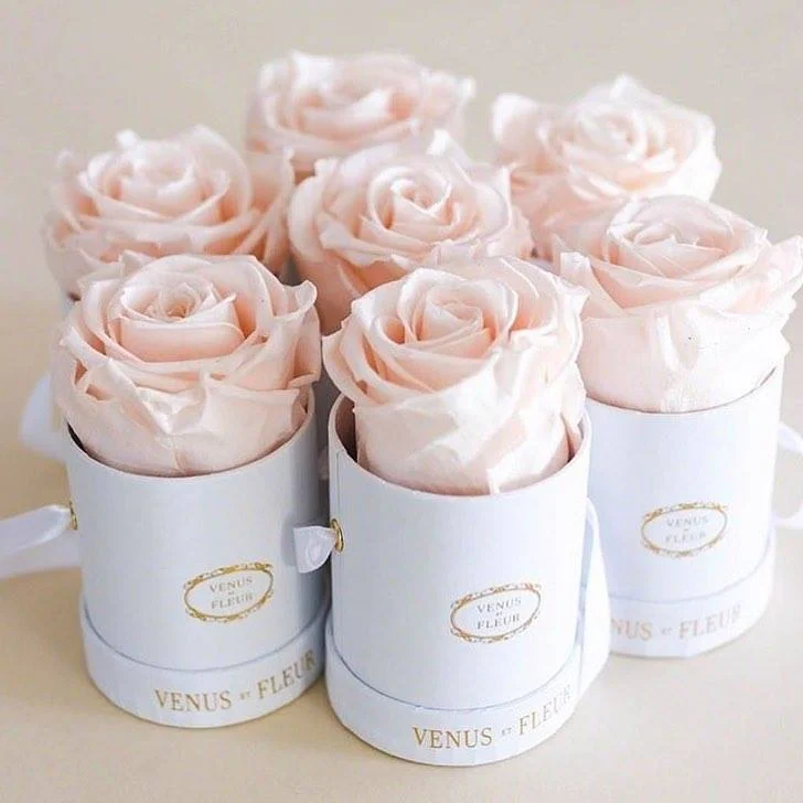 Real Roses Last A Year Or More La Flora Preserved Rose Box Preserved Fresh Cut Flowers Roses in A Box
