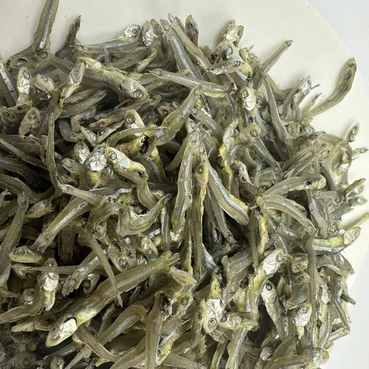Dried wild Sardinella loniceps whole round with salt  Dried wild Sardine Fish