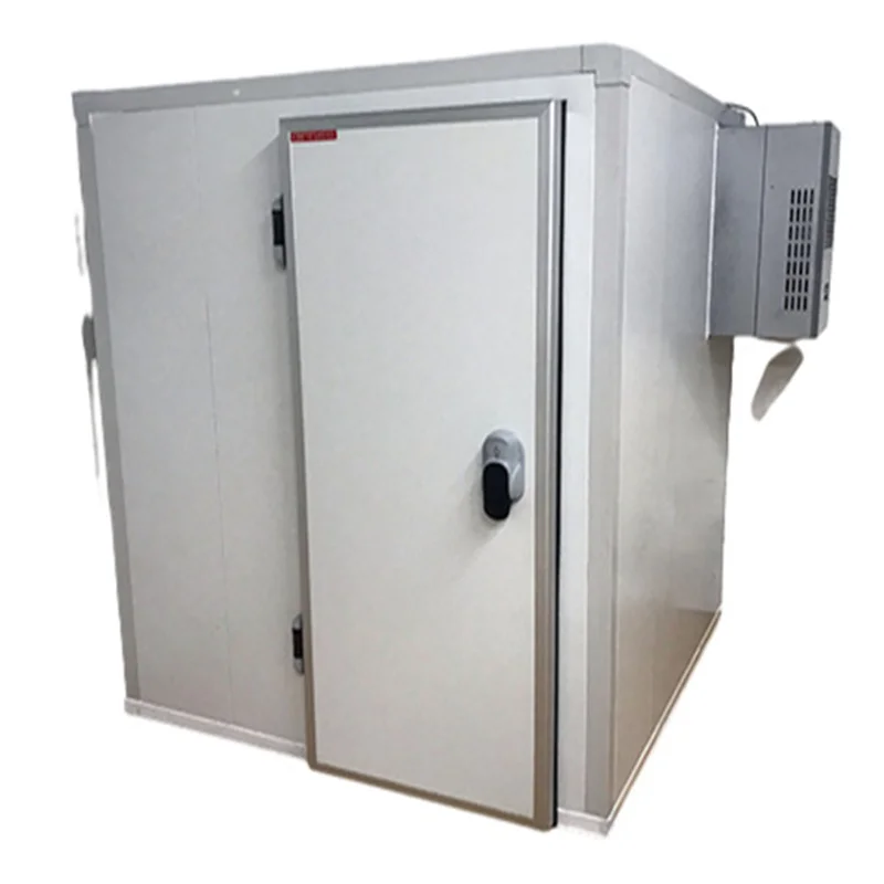 Stainless steel solar cold storage freezer container coolroom  for meat,vegetables and fruits