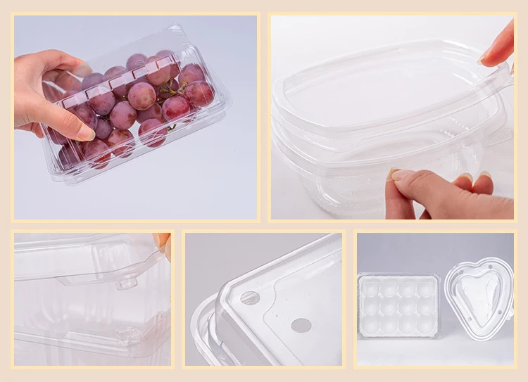 plastic blister fruit vegetable container fruits vegetables corrugated plastic boxes