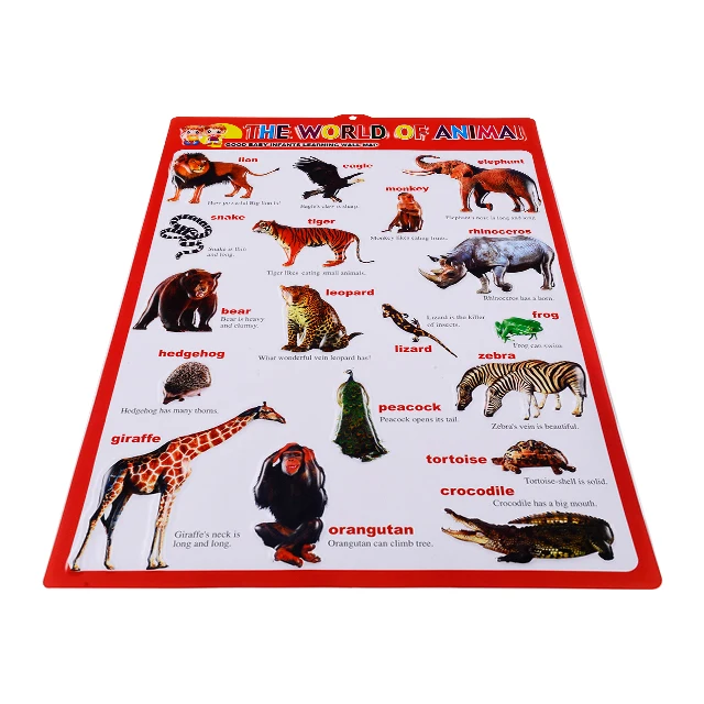 Kids best gifts fruit educational wall chart