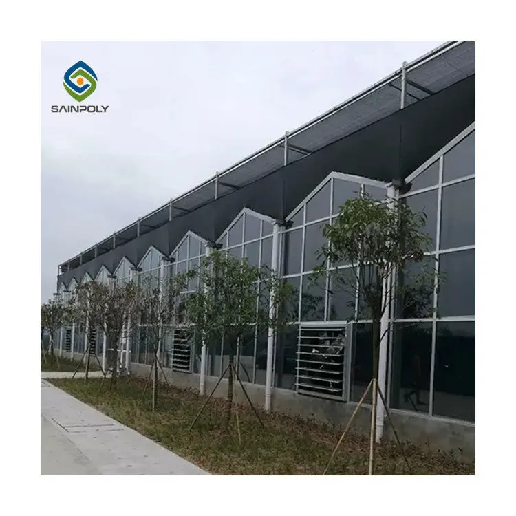 Agricultural in-solar single-span greenhouses with Hydroponics Growing Systems