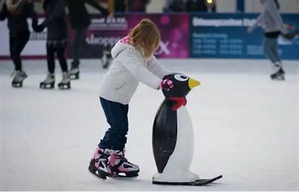 Ski Penguin Ice Skating Aid Skater Learning Aid For Toddlers For Sale