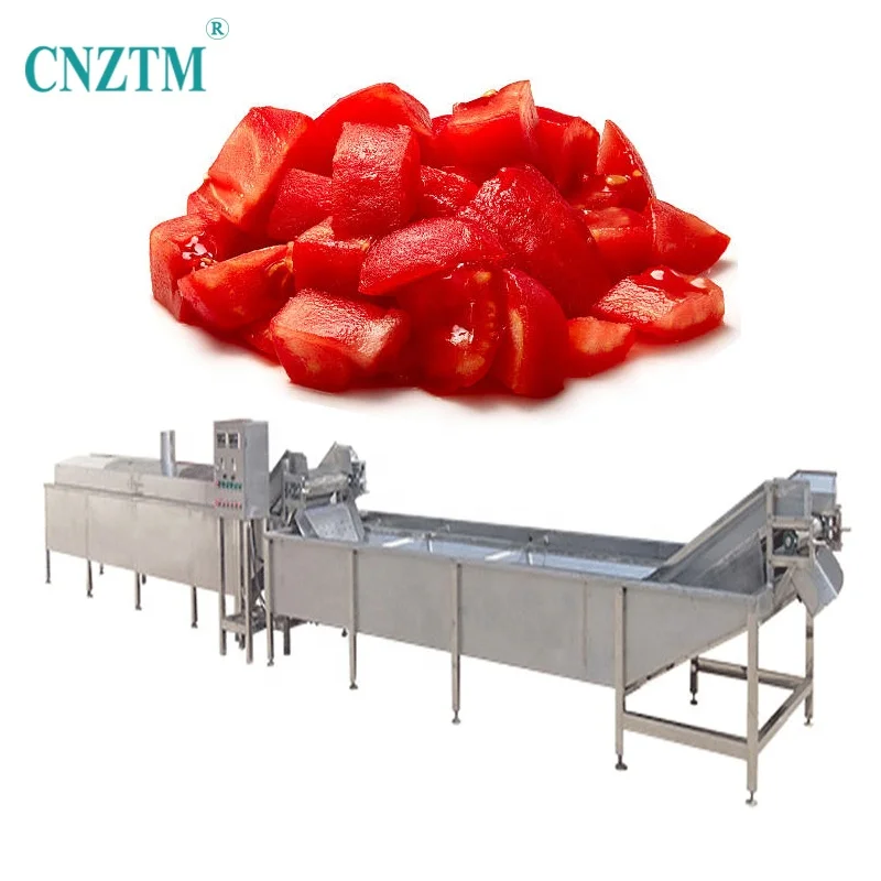 Automatic Chicken Blanched Fruit And Vegetable Onion Broccoli Corn Peanut Ginger Pea Potato Continuous Steam Blanching Machine