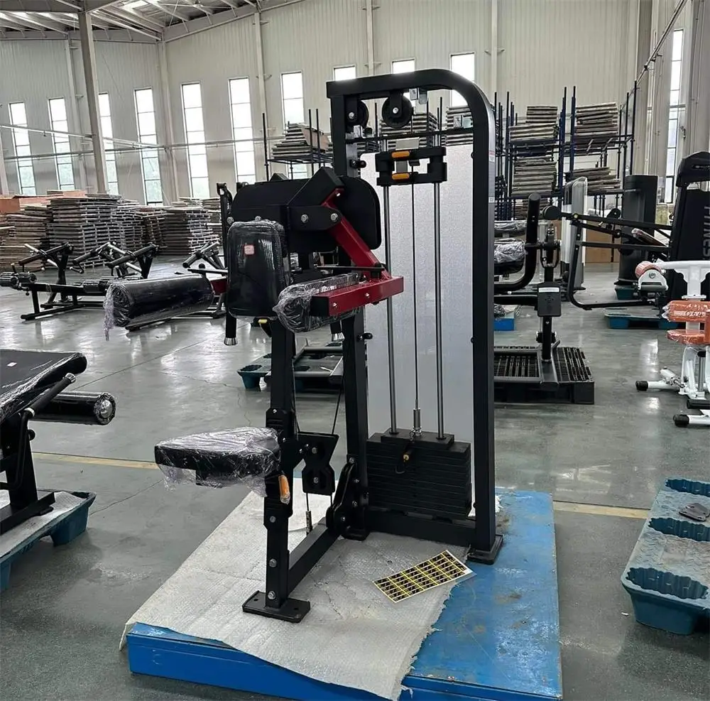 Hot-sale Matrix Lateral Raise Machine Commercial Bodybuilding Equipment Gym Equipment Sports Workout Equipment