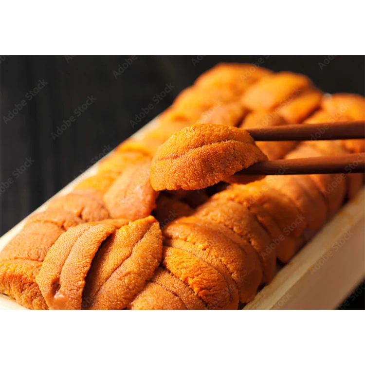 Японский поставщик продуктов питания морепродуктов морской урчин