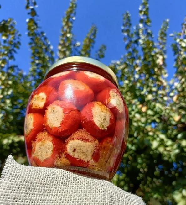 Finest Superior Quality Tasty Vegetable Peppers Stuffed With Tuna With Olive Oil Perfect and Delicius Dishes